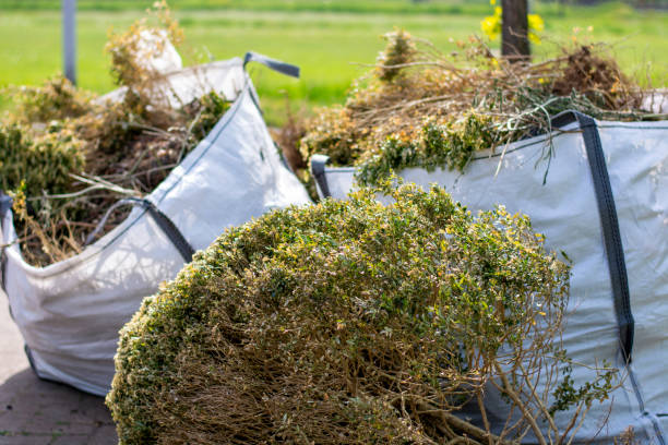 Basement Cleanout Services in Bonita, CA